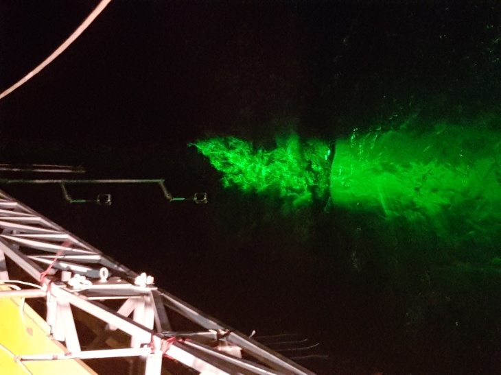 Die Forschenden arbeiteten mit einem grünen Laser, der Luft und Wasser durchschneidet und dabei Strömungen sichtbar macht. Foto: Marc Buckley