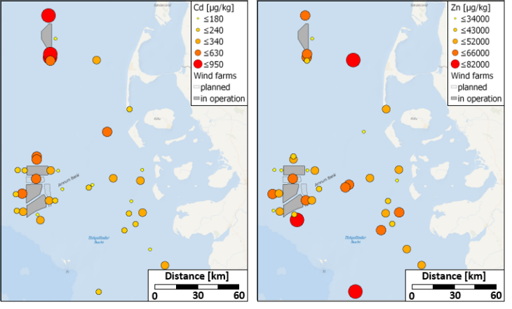 Chemische Verschmutzung in Offshore Windparks